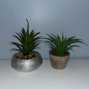 Green Artificial Succulent Set in Silver and Tan Pots